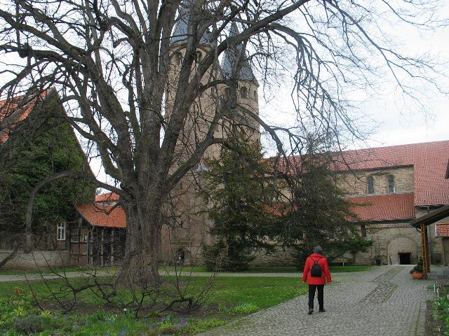 imm_0120_g.jpg