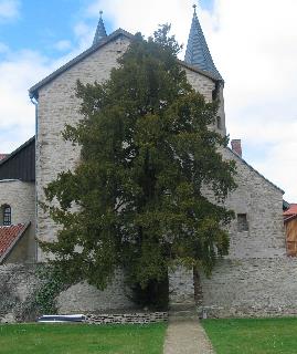 imm_0133_m.jpg