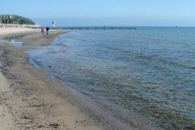 imm_0345_g.jpg