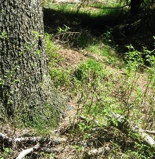 imm_0420_m.jpg