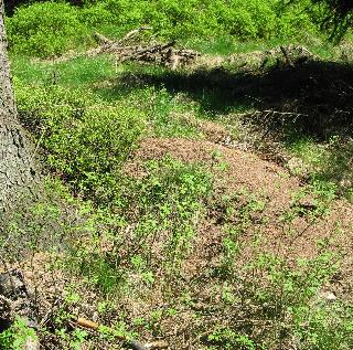 imm_0421_m.jpg