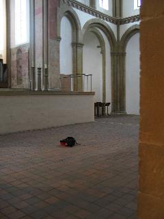 imm_0498_m.jpg