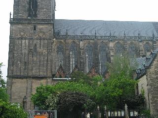 imm_0537_m.jpg
