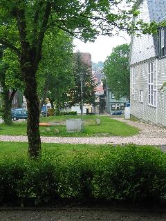 imm_0665_m.jpg