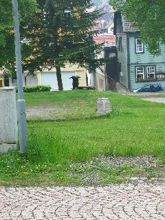 imm_0666_m.jpg