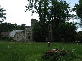 imm_0696_m.jpg
