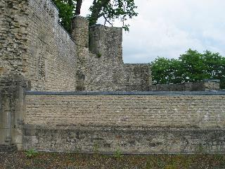 imm_0702_m.jpg