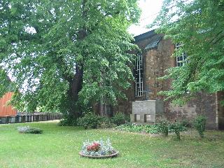 imm_0899_m.jpg