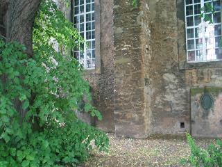 imm_0901_m.jpg