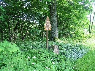 imm_0965_m.jpg