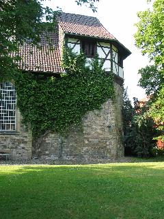 imm_0971_m.jpg