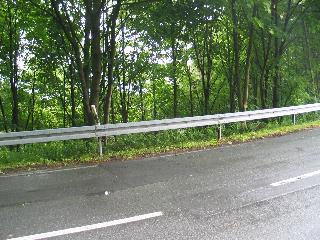 imm_1012_m.jpg