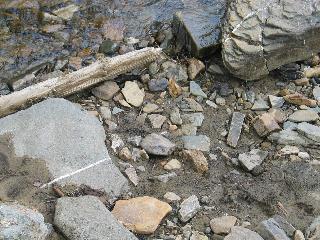 imm_1029_m.jpg