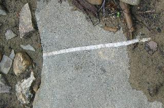 imm_1030_m.jpg