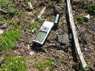 imm_1044_m.jpg