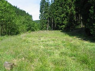 imm_1045_m.jpg