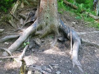 imm_1054_m.jpg