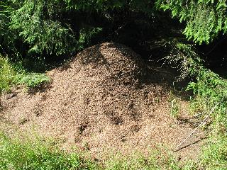imm_1301_m.jpg