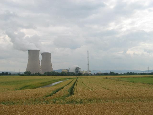 imm_1316_g.jpg