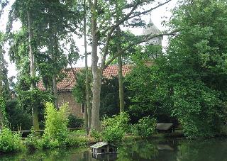 imm_1371_m.jpg