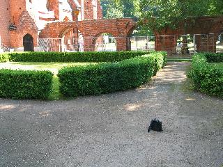 imm_1496_m.jpg