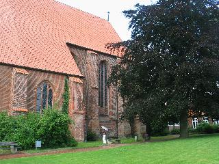imm_1501_m.jpg