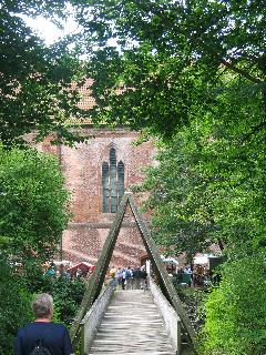 imm_1609_m.jpg