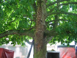 imm_1615_m.jpg
