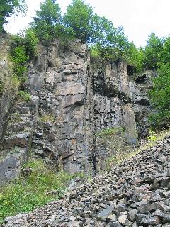 imm_1776_m.jpg