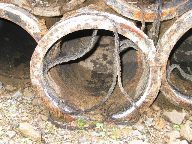 imm_1787_g.jpg