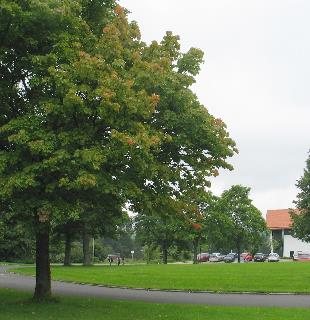imm_1820-a_m.jpg