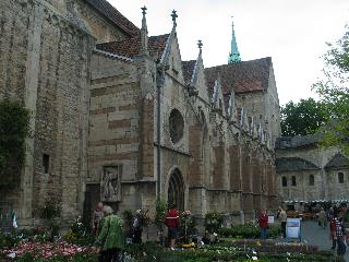 imm_1913_m.jpg