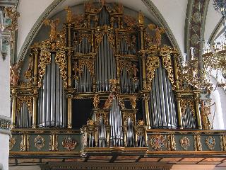 imm_1954_m.jpg