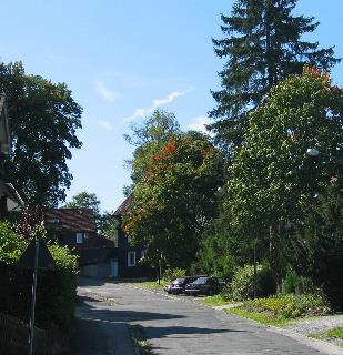 imm_2008-a_m.jpg
