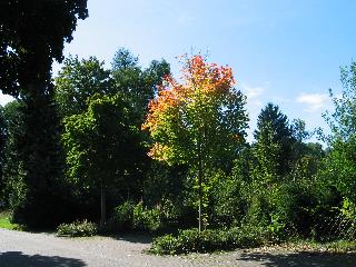 imm_2009_m.jpg