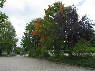 imm_2027_m.jpg