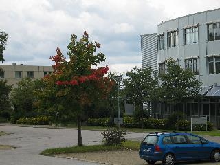 imm_2029_m.jpg