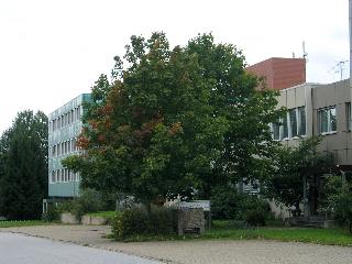 imm_2033_m.jpg