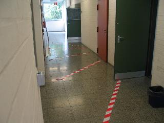 imm_2036_m.jpg