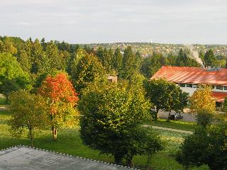 imm_2058_m.jpg
