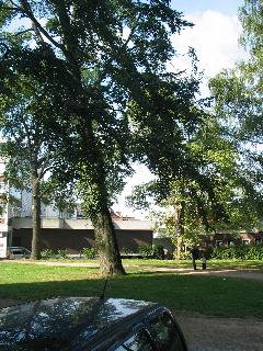 imm_2135_m.jpg