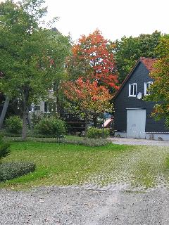 imm_2167_m.jpg