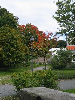 imm_2168_m.jpg