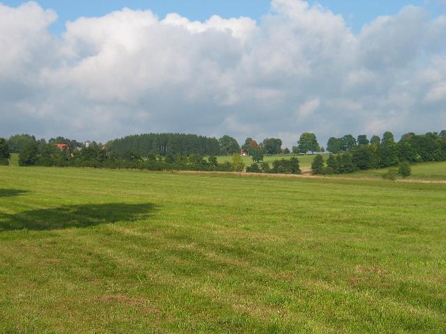 imm_2184_g.jpg
