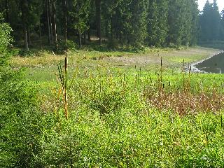 imm_2185_m.jpg