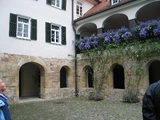 imm_2239_m.jpg