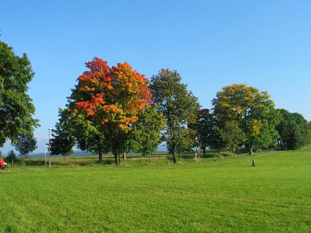 imm_2307_g.jpg