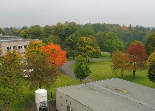 imm_2321_m.jpg