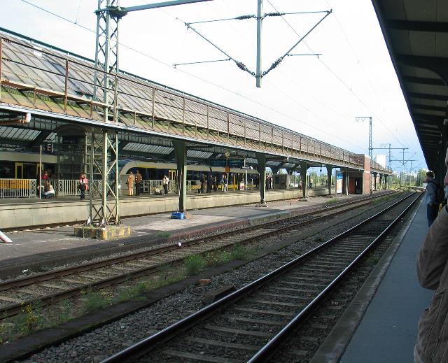 imm_2343_g.jpg