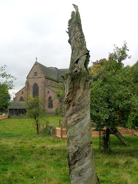 imm_2462_g.jpg